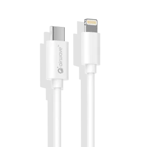 20W PD 2.4A C to L CABLE